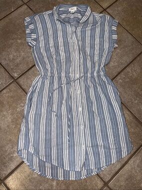 Japna Blue and White Striped Button-Front Casual Dress